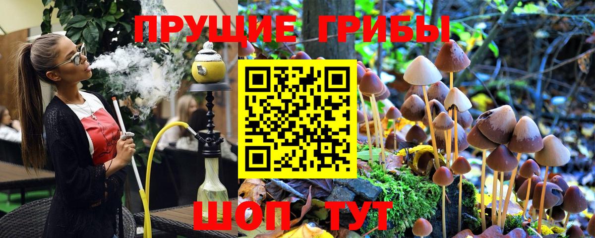 Псилоцибиновые грибы MAGIC MUSHROOMS Аксай