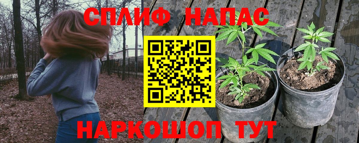 Аксай  Каннабис THC 21%  Бошки марихуана AK-47  Бошки Шишки Ganja  Вход с VPN 